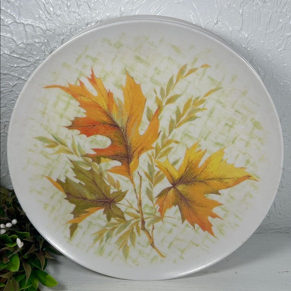 Autumn Leaf Dinner Plates - Set of 6 (White with Orange & Green) - Picture 8 of 9